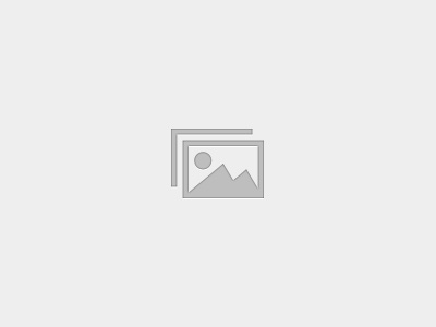 Insurance Policy Fundamentals